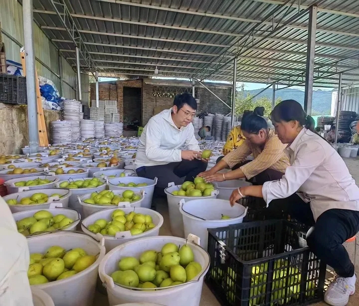 1749008295249507.jpg 1749008295249507.jpg