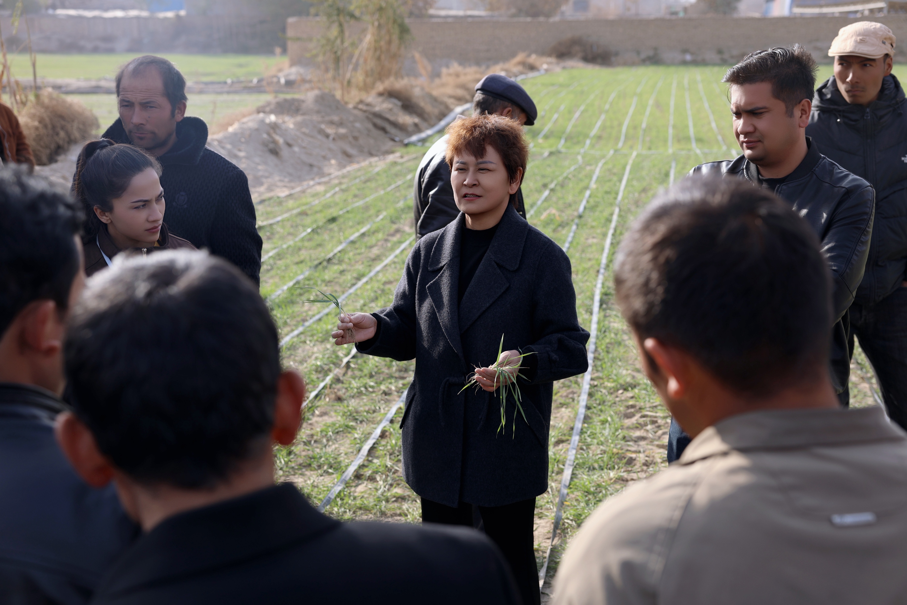 1764660280534926.jpg 4Q9A4276(1).jpg